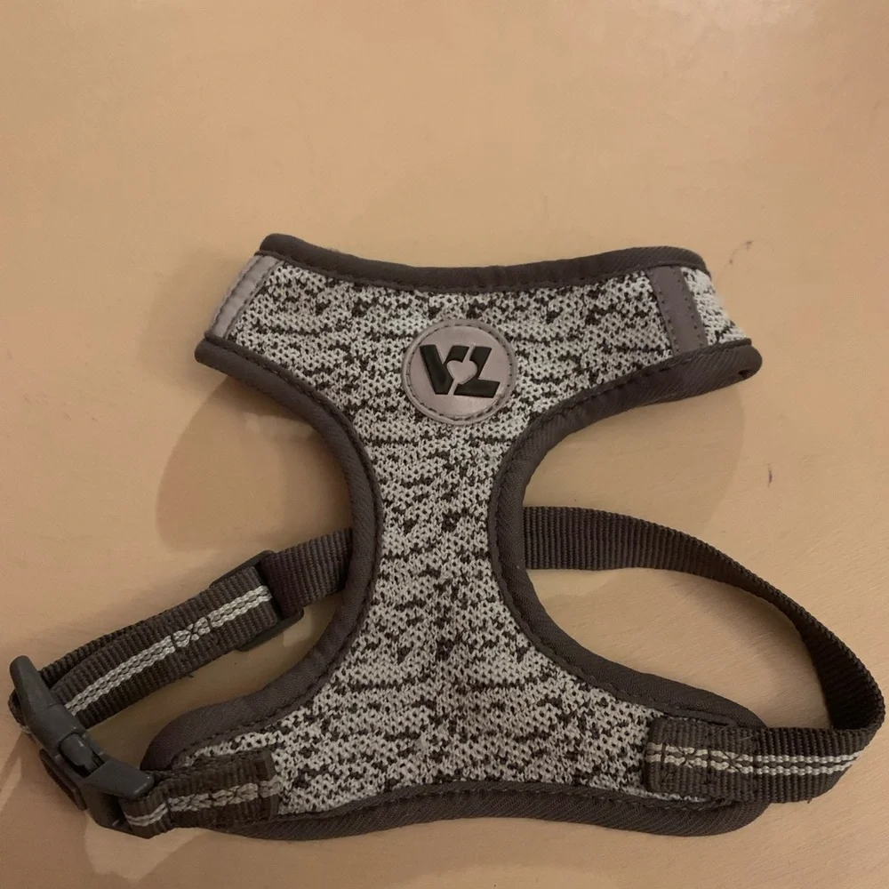 Vibrant Blue and Gray Dog Harness